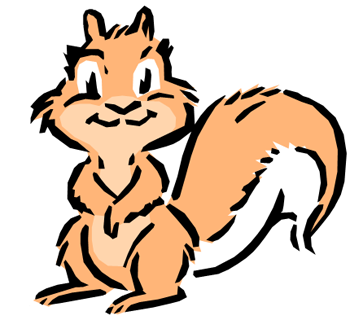 Squirrel